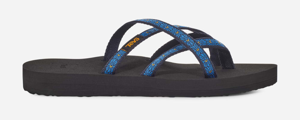 Teva Olowahu Flip Flops Dame Blomster Marineblå | Norge-3761